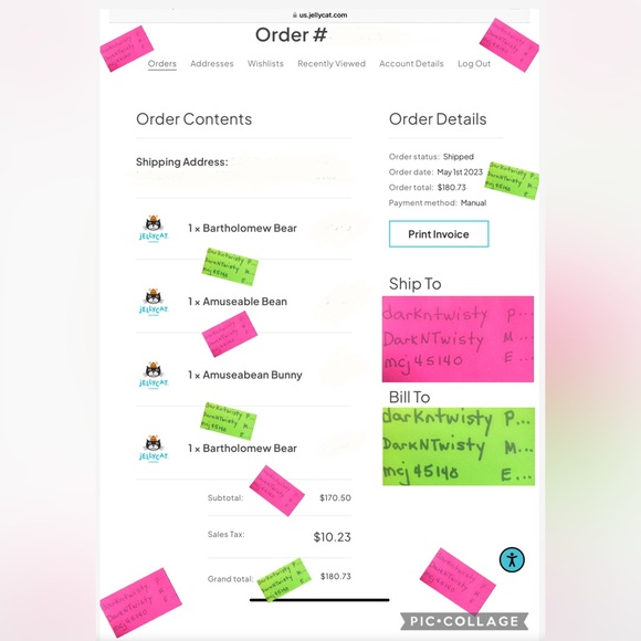 LAST ONE! 1 SINGLE BNWT JELLYCAT AMUSEABLE BEAN AUTHENTIC JELLYCAT SALES RECEIPT - Picture 14 of 16